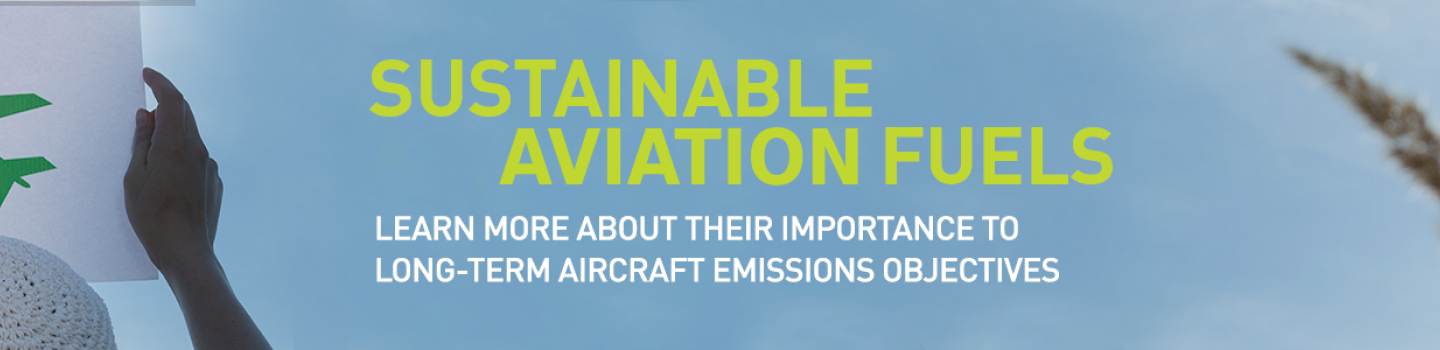 Sustainable Aviation Fuels 