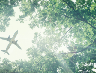 Guyana sets global example with quality carbon offset achievement